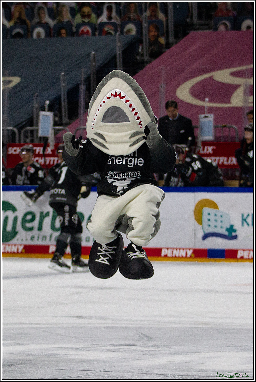 PENNY DEL;  Koelner Haie - Adler Mannheim; Koeln, 08.04.2021